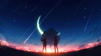 4k Anime Sunset Scenery Couple Silhouette Wallpaper 2960g