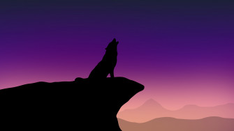 Howling Wolf Minimalism 4k HD Wallpaper Image