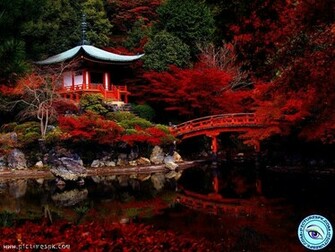 Beautiful Red Nature Picture Wallpaper In Resolution