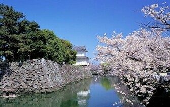 Japanese Landscape Japan Travel Vacation Country Scenery