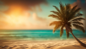 Beach Palm Trees Wallpaper