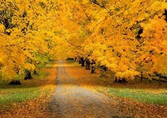 Beautiful Places Pictures To