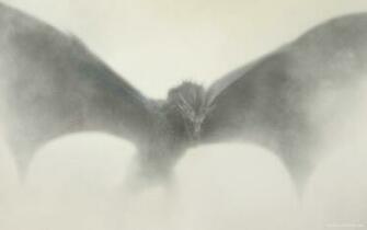 Game Of Thrones Season Dragon HD Wallpaper IHD