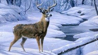 HD Deer Hunting Wallpaper 1080p Unique