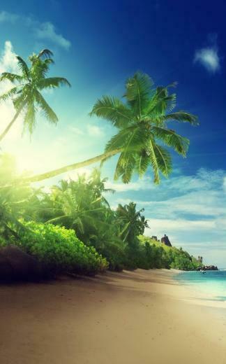 Tropical Beach Live Wallpaper Android Apps On Google Play