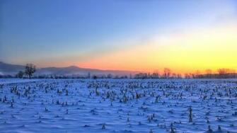 Snowy Field Wallpaper