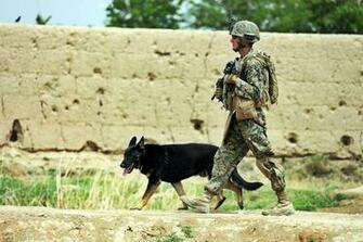 Us Marine Widescreen HD Wallpaper