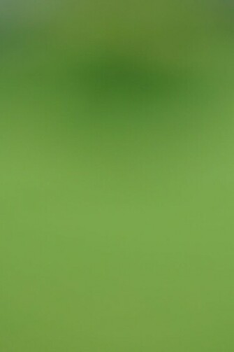 Green Gradient iPhone Wallpaper