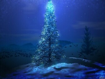 Wallpaper Night Blue New Year Christmas Tree