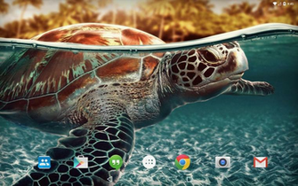 Ericpoleo Livewallpaper Oceanturtlewater0 Png
