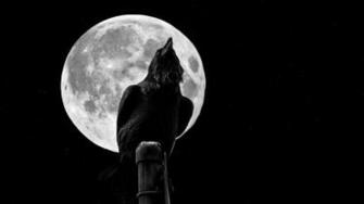 Crow Moon Computer Wallpaper Desktop Background Id