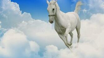 White Horse Wallpaper Beautiful Desktop
