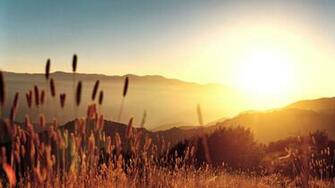 Wallpaper Hot Summer Beach