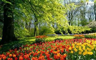 Beautiful Spring Desktop Wallpaper Park Nature