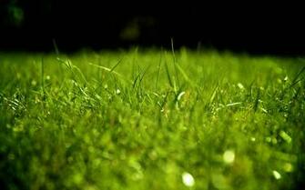 Wallpaper The Quality Ultra HD 4k For Your High Definition