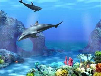 Living 3d Dolphins Screensaver