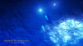 Relaxing Wallpaper Dolphins