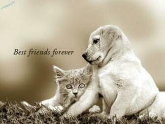 Forever Wallpaper Yvt2 Cute Friends