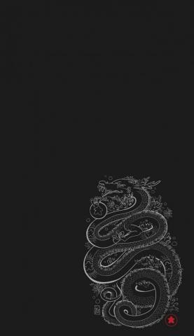 Raquel On Wallpaper Dragon iPhone Hypebeast
