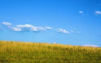 Keywords Tall Grass Wallpaper Desktop