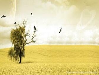 Yellow Wallpaper HD Sparknotes