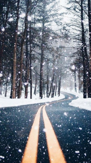 Snow Aesthetic Picture Wallpaper