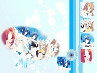 Kampfer Wallpaper