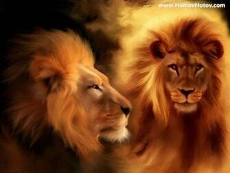 Lions Wallpaper Masa St HD Resimler Desktop 1080p