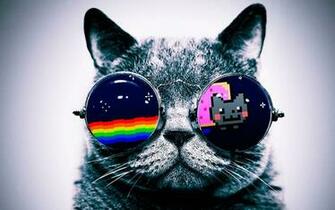 Epic Cat Wallpaper