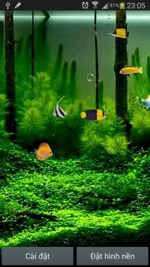 Aquarium Live Wallpaper Android Apps On Google Play