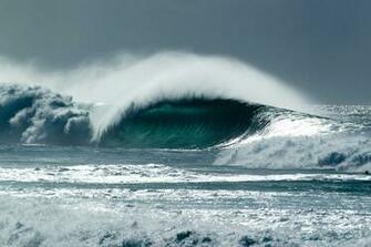 Paddle Pipeline