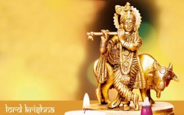Lord Krishna With Cow HD Wallpaper Background