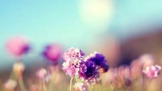 Nature Wallpaper HD For Mac Net