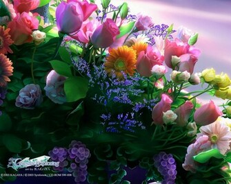 Pretty Flowers Wallpaper HD