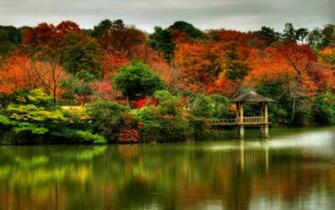 Beautiful Autumn Scenes Wallpaper