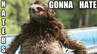 Sloth Sunglasses Wallpaper Haters Gonna Hate Jpg