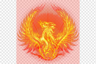 Flame Bird Illustration Fenghuang Phoenix Wings Orange