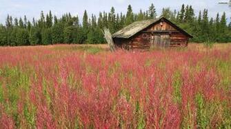 Old Farm Wallpaper