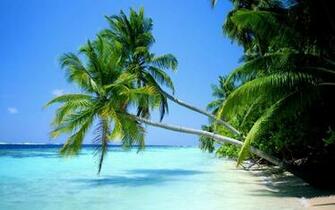 Wallpaper Photo Art Paradise Beach