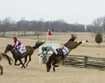 Horse Racing Wallpaper In Sunset Black