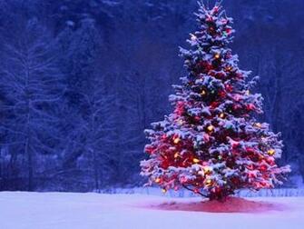 Christmas Tree Desktop Pc And Mac Wallpaper