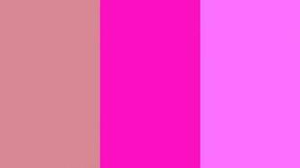 Blush Shocking Pink And Crayola Three Color Background