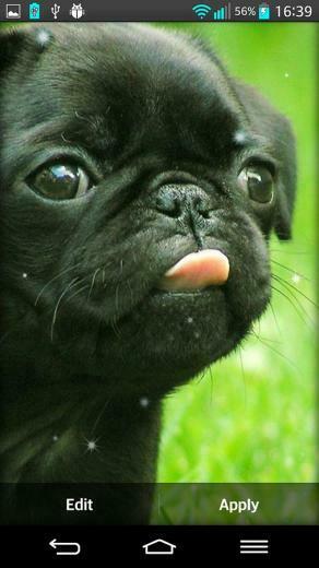 Puppies Live Wallpaper Android Apps And Tests Androidpit