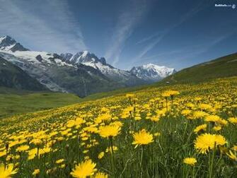 National Geographic