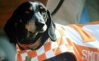Tennessee Vols Merchandise Biggest Selections