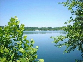 Summer Scenes