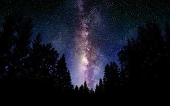 Wallpaper Starry Night Sky Over The Forest 3d For Desktop