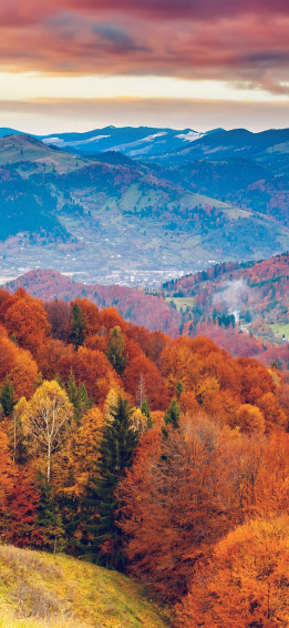 Autumn Wallpaper For iPhone And iPad