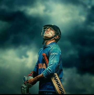 The Bat Ball Stumps Ideas In Cricket