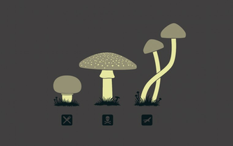 Drugs Mushrooms Wallpaper Fun Art
